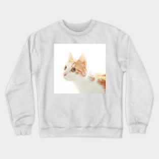 Red cat portrait Crewneck Sweatshirt